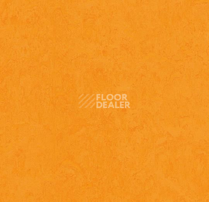 Линолеум Forbo Marmoleum Marbled Fresco 3262-326235 marigold фото 1 | FLOORDEALER